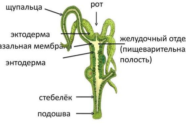 Кракен сайт маркет