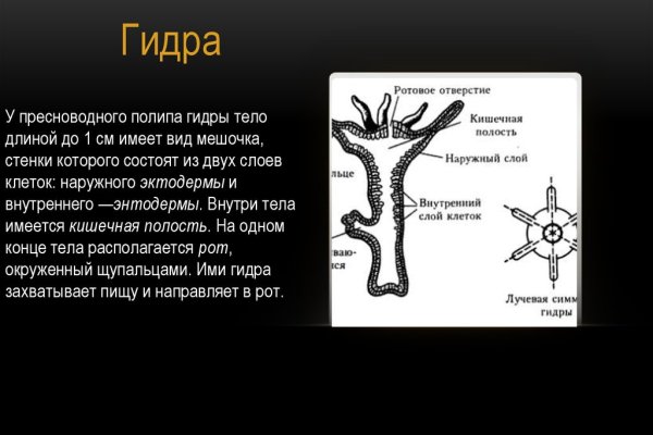 Кракен точка ат