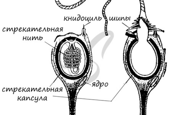 Не могу зайти в аккаунт кракен