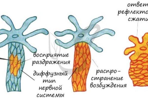 Кракен макет плейс